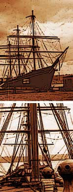 The Ship