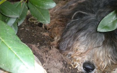 My Favorite Garden Spot