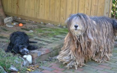 Sorry I’ve Been Out of Touch