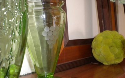 Anticipating Spring… Despite the snow outside