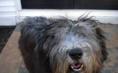 Coming out of Hibernation