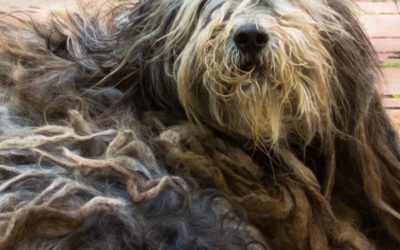 I am Thankful for….